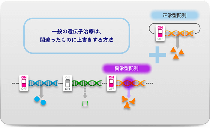 2つの送達方法 1.Ex vivo:血液細胞の採取->ベクターで遺伝子挿入->修復した「細胞」を患者さんの体内へ 2.In vivo:正常な遺伝子->正しいコードのDNAを載せた「ベクター」を投与 細胞内の遺伝子にエラー